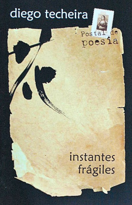 Instantes frágiles