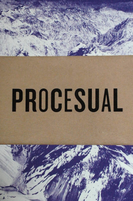 Procesual #2