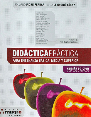 Didáctica práctica : para enseñanza básica, media y superior