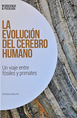 La evolución del cerebro humano : un viaje entre fósiles y primates