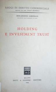 Holding e investment trust