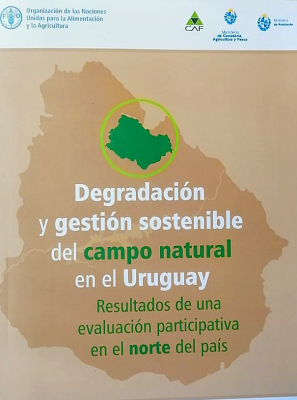 Degradación y gestión sostenible del campo natural en el Uruguay : resultados de una evaluación participativa en el Norte del país