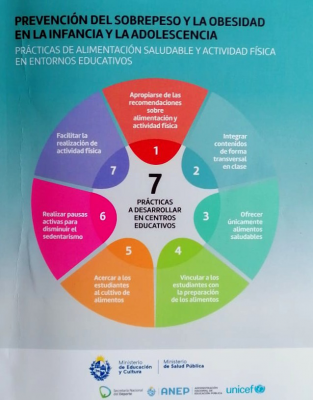 Prevención del sobrepeso y la obesidad en la infancia y la adolescencia : prácticas de alimentación saludable y actividad física en entornos educativos