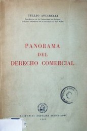 Panorama del Derecho Comercial