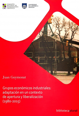 Grupos económicos industriales : adaptación en un contexto de apertura y liberalización (1980-2015)