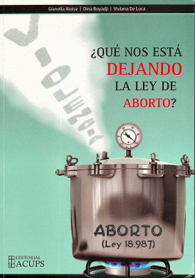 ¿Qué nos está dejando la ley de aborto?