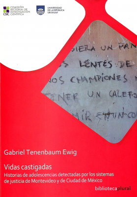 Vidas castigadas : historia de adolescencias detectadas por los sistemas de justicia de Montevideo y de Ciudad de México