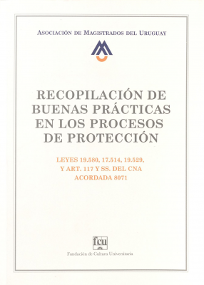 Recopilación de buenas prácticas en los procesos de protección : leyes 19.580, 17.514, 19.529 y art. 117 y ss. del CNA acordada 8071