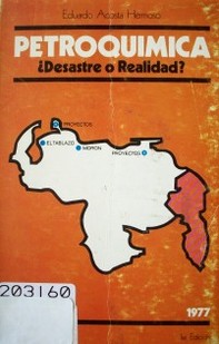 Petroquímica : ¿Desastre o realidad?