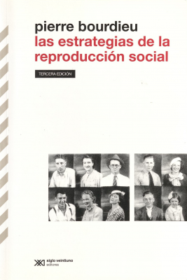 Las estrategias de la reproducción social