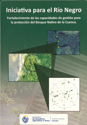 Iniciativa para el Rio Negro : fortalecimiento de las capacidades de gestión para la protección del bosque nativo de la cuenca