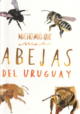 Mucho más que miel : abejas del Uruguay