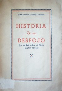 Historia de un Despojo :  (la verdad sobre el Pleito Michel Torino)