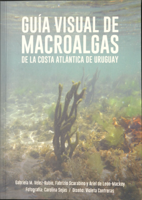Guía visual de macroalgas de la costa atlántica de Uruguay