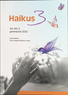 Haikus 3 : 3er año 3, generación 2022