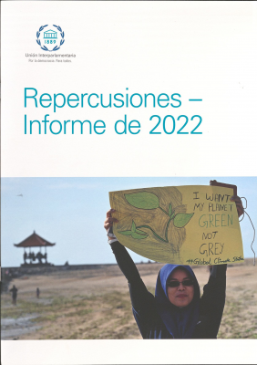 Repercusiones : informe de 2022