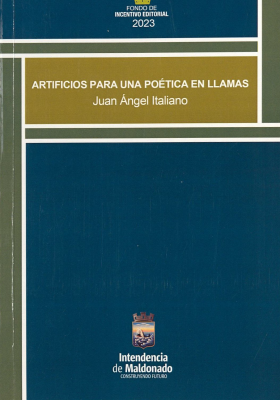 Artificios para una poética en llamas : nugoe difficiles decimonónicas. (Apuntes para un acercamiento)