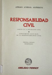Responsabilidad civil : límites de la reparación civil. Contornos actuales de la responsabilidad civil
