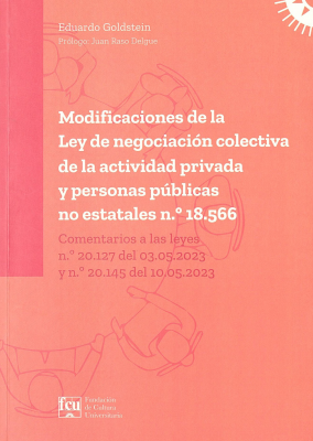 Modificaciones de la Ley de negociación colectiva de la actividad privada y personas publicas no estatales N.º 18.566 : comentarios a las leyes n.º 20.127 del 03.05.2023 y n.º 20.145 del 10.05.2023