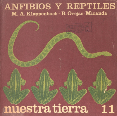 Nuestra tierra. v.11 : Anfibios y reptiles