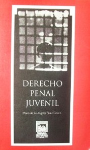 Derecho Penal Juvenil