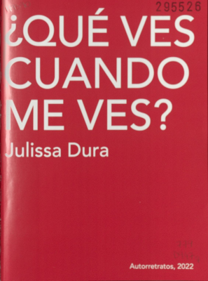 ¿Qué ves cuando me ves?