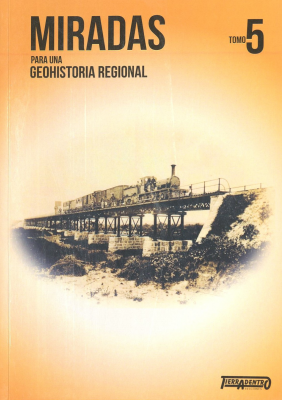 Miradas para una geohistoria regional. v. 5