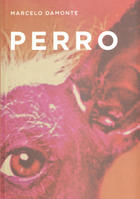 Perro