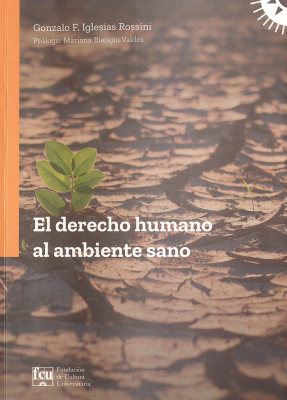 El derecho humano al ambiente sano