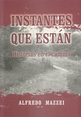 Instantes que están : historias en el camino