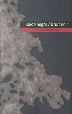 Ruido negro = Bruit noir