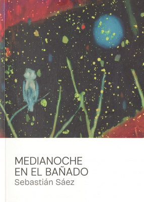 Medianoche en el ba&ntilde;ado : Sebasti&aacute;n S&aacute;ez : 20 de marzo - 26 de julio 2025