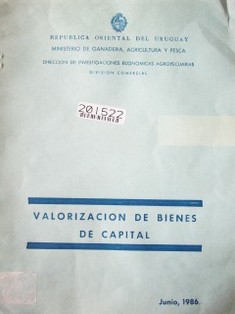 Valorización de bienes de capital