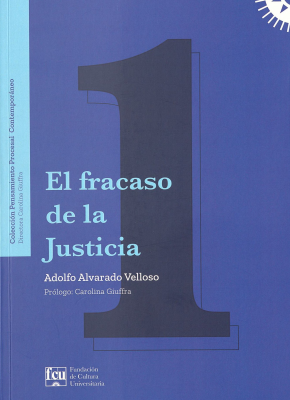 El fracaso de la Justicia : la incoherencia normativa y el decisionismo judicial en Am&eacute;rica Latina y una deuda a&uacute;n pendiente : el proceso adversarial puro en todos los fueros judiciales
