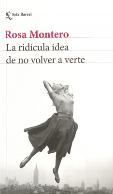 La rid&iacute;cula idea de no volver a verte