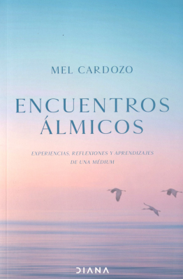 Encuentros &aacute;lmicos : experiencias, reflexiones y aprendizajes de una m&eacute;dium