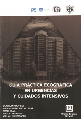 Gu&iacute;a pr&aacute;ctica ecogr&aacute;fica en urgencias y cuidados intensivos