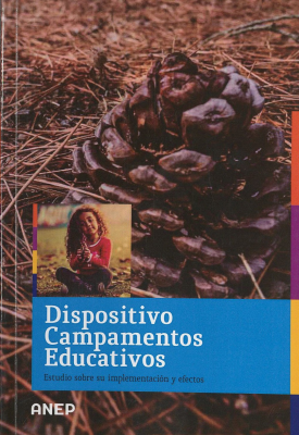Dispositivo campamentos educativos : estudio sobre su implementaci&oacute;n y efectos