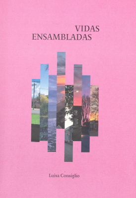 Vidas ensambladas