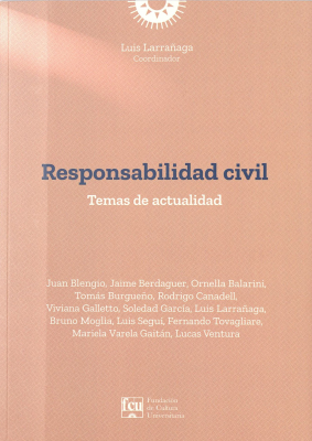 Responsabilidad civil : temas de actualidad