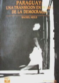 Paraguay : una transición en busca de la democracia