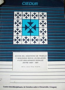 Acción del Ministerio de Trabajo y Seguridad Social en relación a los asalariados rurales entre 1985-1991