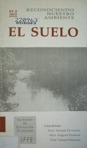 El suelo