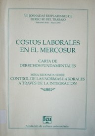 Costos laborales en el Mercosur : VII