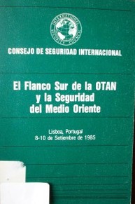 El flanco sur de la OTAN y la seguridad del Medio Oriente