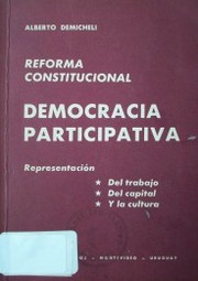 Democracia participativa : reforma constitucional