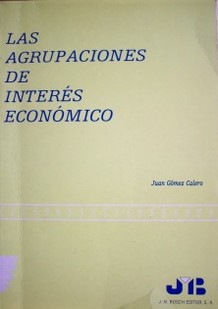 Las agrupaciones de interés económico