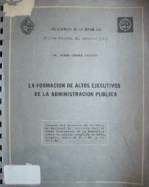 La formación de altos ejecutivos de la administración pública.