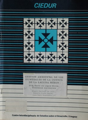 Bacia de Lagoa Mirim : problemas ambientais