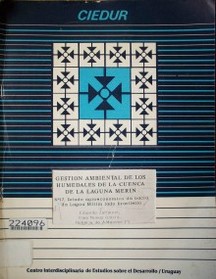 Estudo agroeconomico da bacia da Lagoa Mirim lado brasileiro